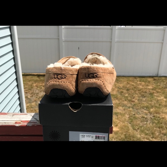 UGG Ascort Slippers - Picture 5 of 7